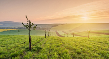 agriculture