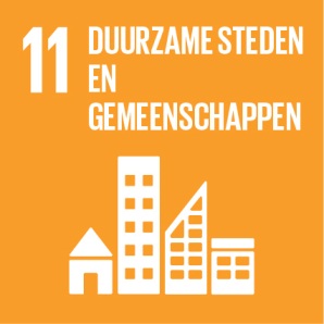 11. Duurzame Steden en Gemeenschappen