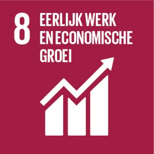 8. Eerlijk werk en economische groei