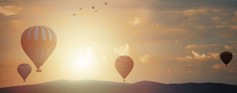 Wealth Management Inv themes 2019 Wealth Management Inv themes 2019